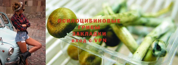 PSILOCYBIN Алексеевка